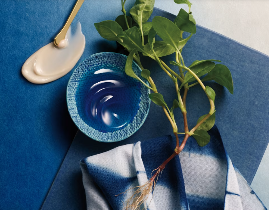 Indigo Overnight Repair